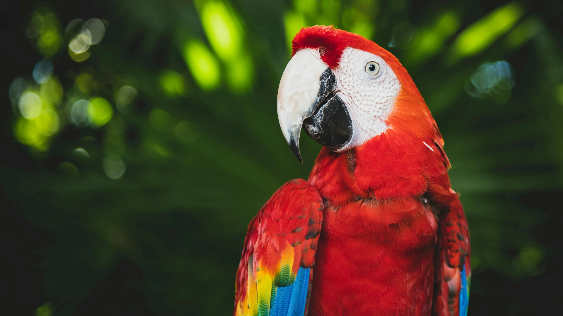 Akademia Instytutu Metatron — przestrzeń edukacji świadomej